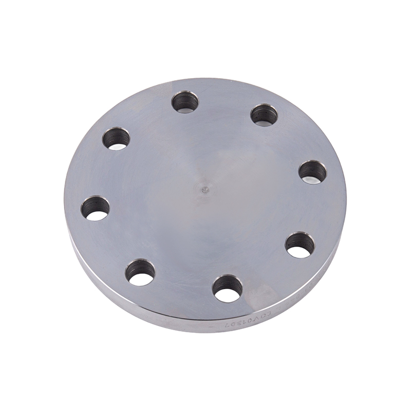 JIS নকল flanges