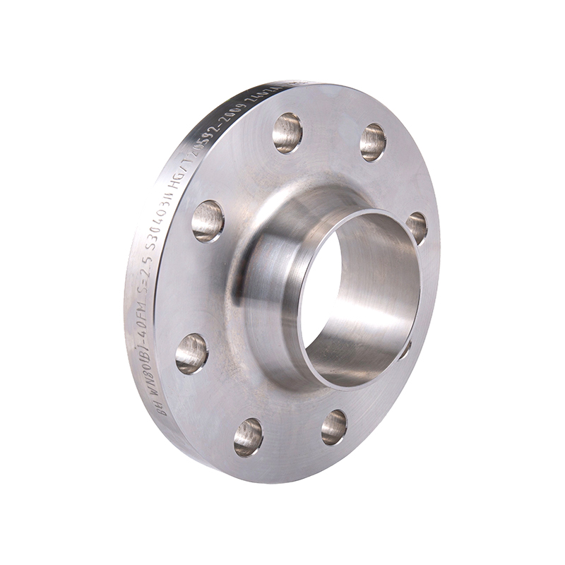 BS নকল flanges